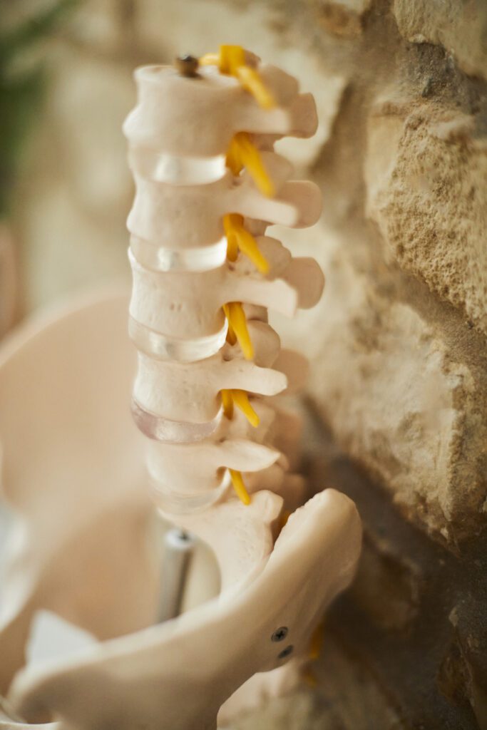Our osteopaths can diagnose and effectively treat sciatica at Origin Health, Cheltenham